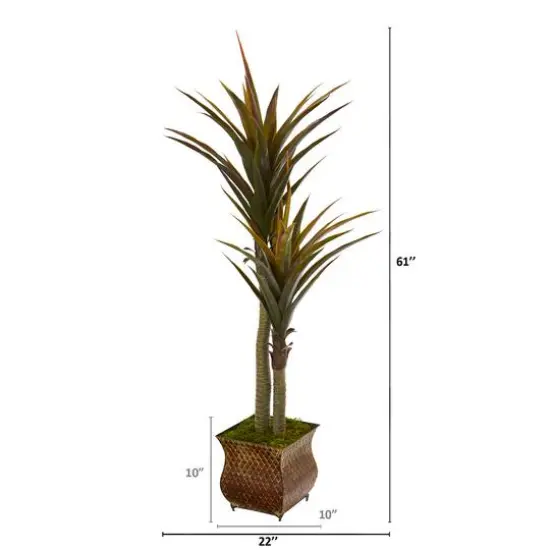 5ft. Green Yucca Tree in Decorative Planter {3}