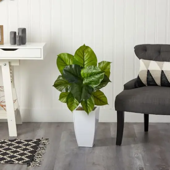 3ft. Large Philodendron Leaf Plant in White Metal Planter {4}