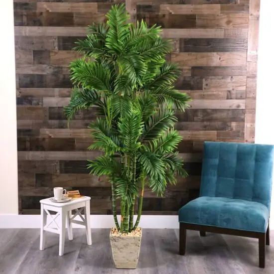 6ft. Areca Palm Tree in Country White Planter {4}