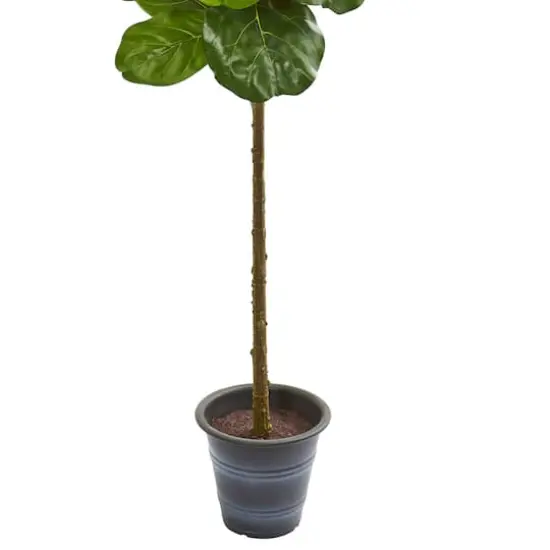 5ft. Fiddle Leaf Fig Tree with Decorative Planter {4}