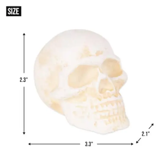 DII&reg; Human Skull Cast Iron Paperweight {5}