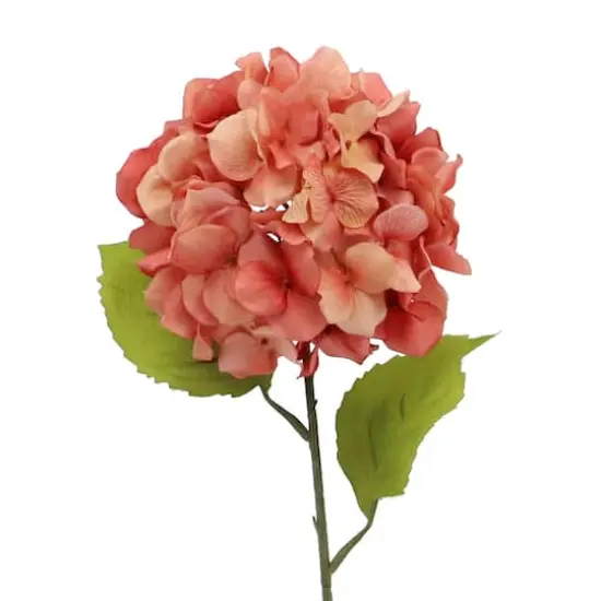 Terra Cotta Hydrangea Stem by Ashland&reg; {3}