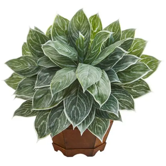 18" Chinese Evergreen Plant in Decorative Planter {1}