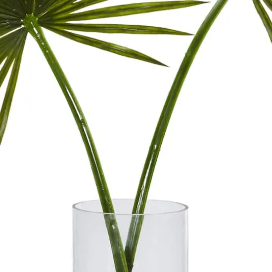 4ft. Green Fan Palm Arrangement in Glass Vase {4}