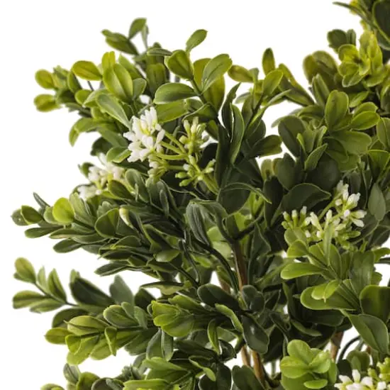 Boxwood & Berry Bush by Ashland&reg; {4}