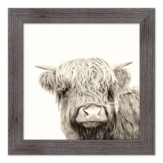 Shaggy Bangs Highland Cow Framed Print Wall Hanging Gray {1}