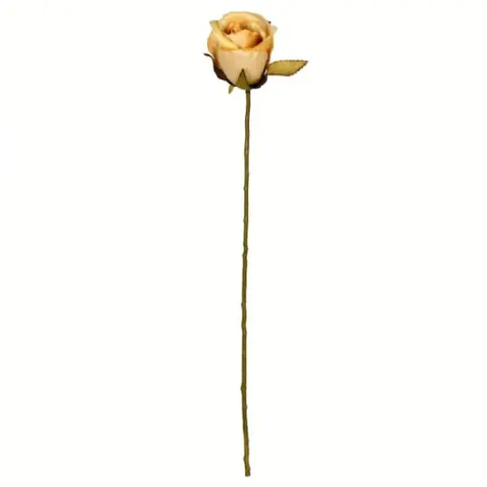 Mustard Rose Stem, 12ct. {1}