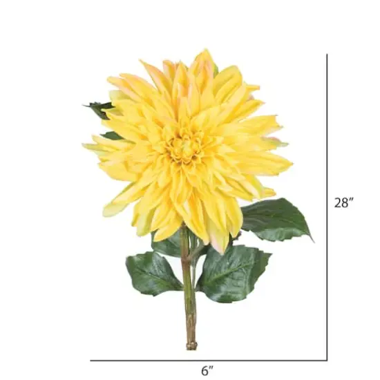 Yellow Dahlia Stem {3}