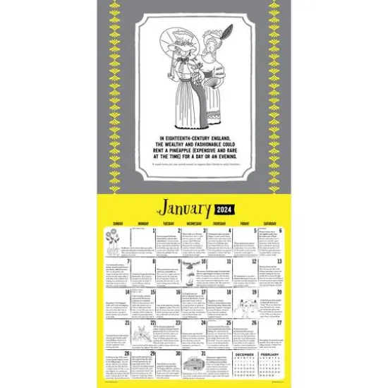 TF Publishing 2024 Insane But True Wall Calendar {4}