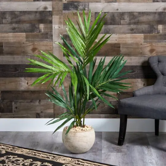 4ft. Kentia Palm Tree in Round Sand Colored Planter {4}