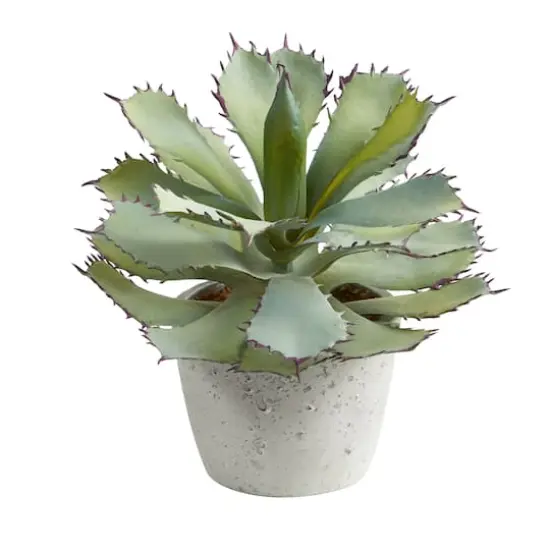 11" Potted Succulent Plant {1}