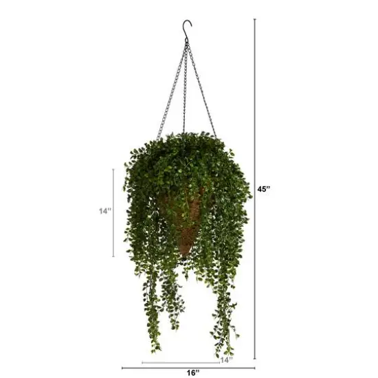 4ft. Honey Locust Plant in Hanging Cone Basket {3}