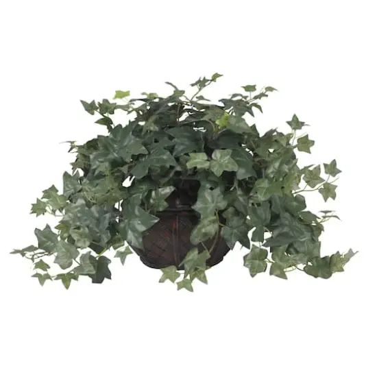 18" Potted Puff Ivy {1}