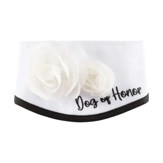 Best Furry Friends Dog of Honor Floral Collar Classic {1}