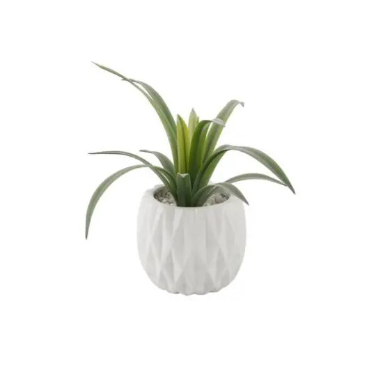 Flora Bunda&reg; 13.5" Green Sedge in Ridge Ceramic Planter {1}