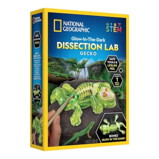National Geographic&trade; Glow-in-the-Dark Gecko Dissection Lab {1}
