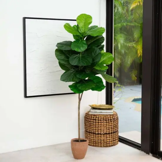 6ft. Giant Leaf Fiddle Leaf Fig Tree in Decorative Planter with Real Touch Leaves {7}