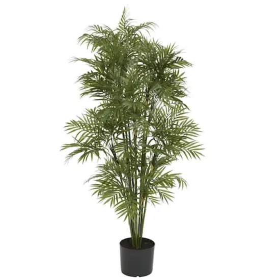 4ft. Potted Parlour Palm Tree {1}