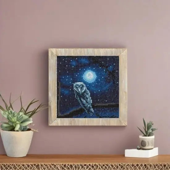 Night Owl Painting Diamond Art Kit by Make Market&reg; {1}
