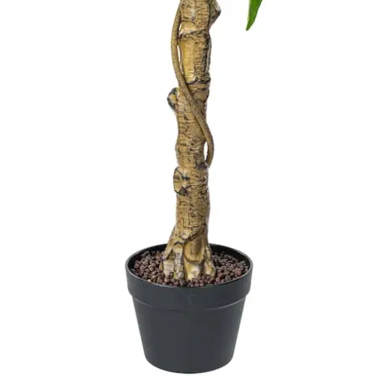 4ft. Potted Lemon Tree {6}