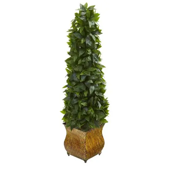 3ft. Sweet Bay Magnolia Cone Topiary Tree in Decorative Metal Planter {1}
