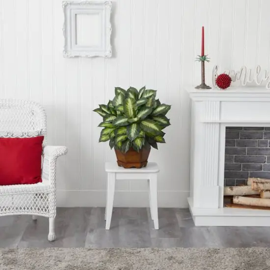 24" Golden Dieffenbachia Plant in Decorative Pot {6}