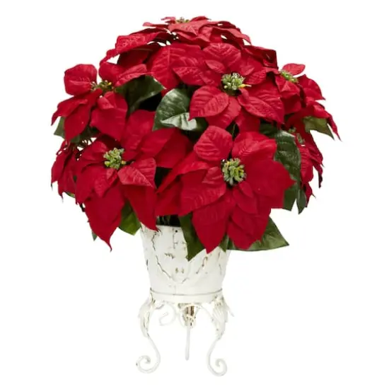 21" Potted Poinsettia with White Metal Planter {1}