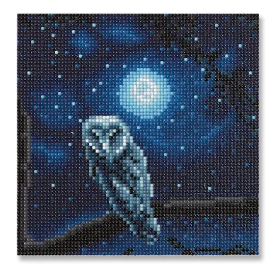 Night Owl Painting Diamond Art Kit by Make Market&reg; {6}