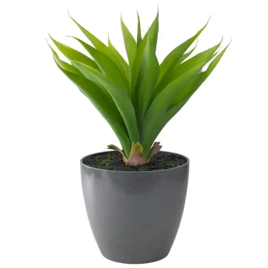 22" Potted Green Agave Plant {1}