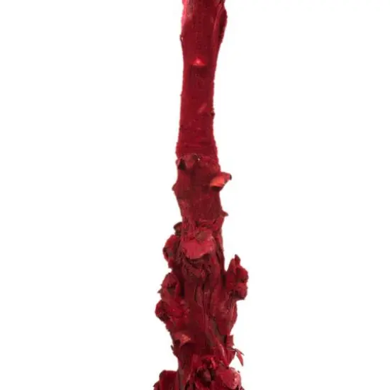 Dried Red Queen Flower Stem {6}