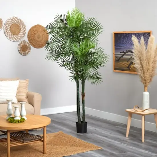 7ft. Potted Double Robellini Palm Tree {5}