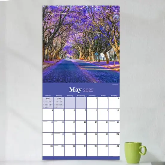 TF Publishing 2025 Trees Wall Calendar {4}