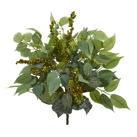 Green Mixed Ficus, Fittonia & Berries Bush, 6ct. {1}