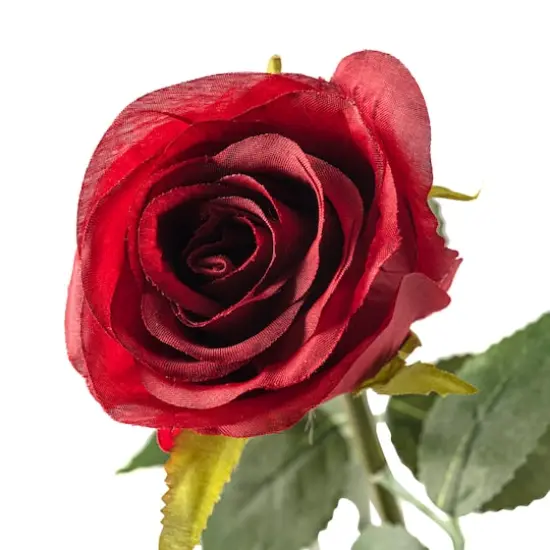 Red Dutch Rose Spray by Ashland&reg; {4}