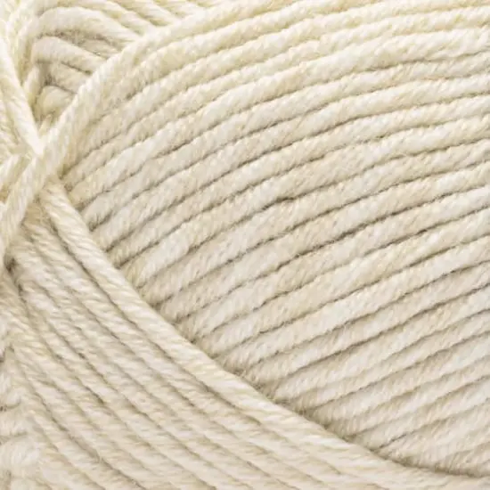 Caron&reg; Simply Me Montage&trade; Yarn Smokey Quartz {3}