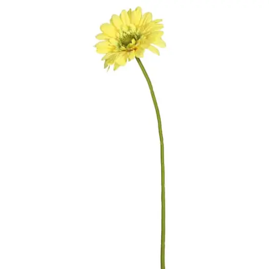 Yellow Daisy Stem, 6ct. {1}