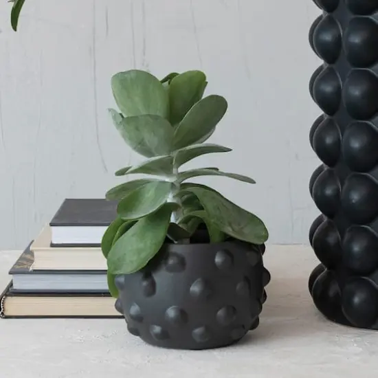Hello Honey&reg; 6.5" Black Terracotta Planter with Raised Dot Design {3}