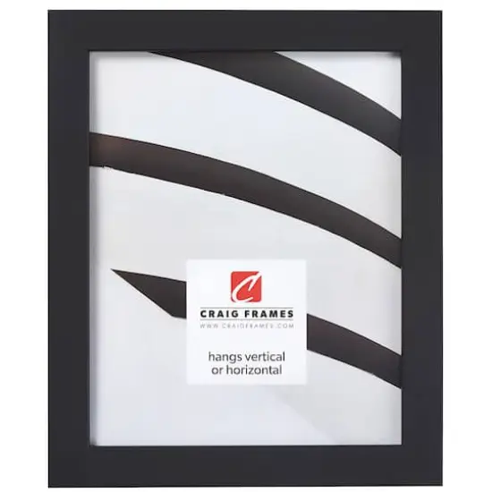 Craig Frames Essentials Mystic Satin Black Picture Frame {1}