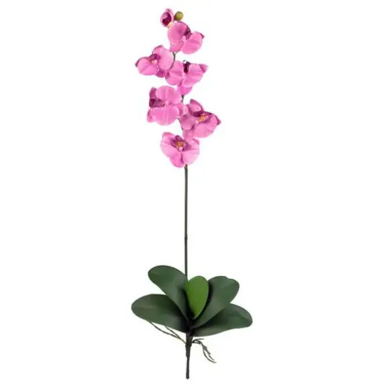 Purple Moth Orchid Stem, 12ct. {1}