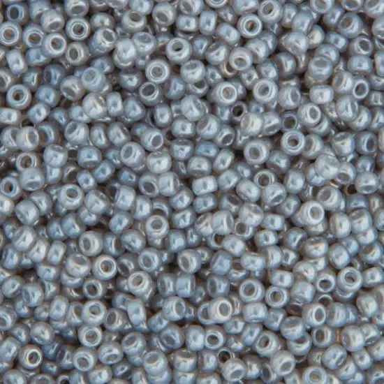 Miyuki&reg; 11/0 Glass Seed Beads, 22g Silver Grey Ceylon {1}