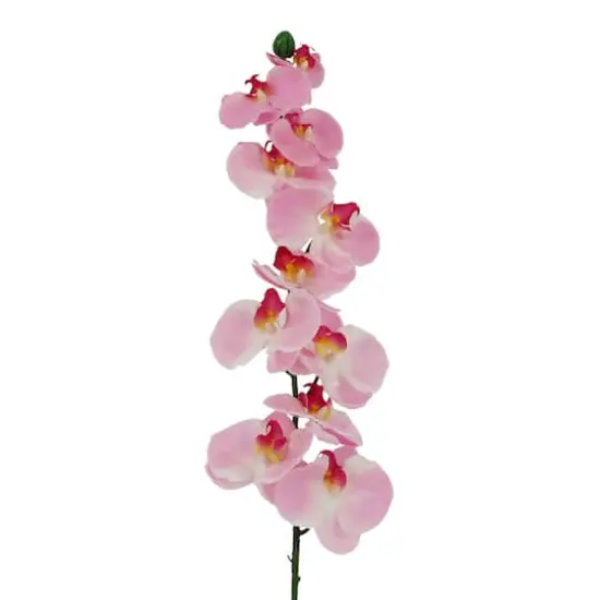 37" Pink Orchid Stem by Ashland&reg; {3}