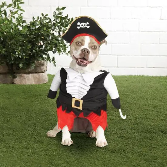 Pirate Dog Costume by Ashland® {3}