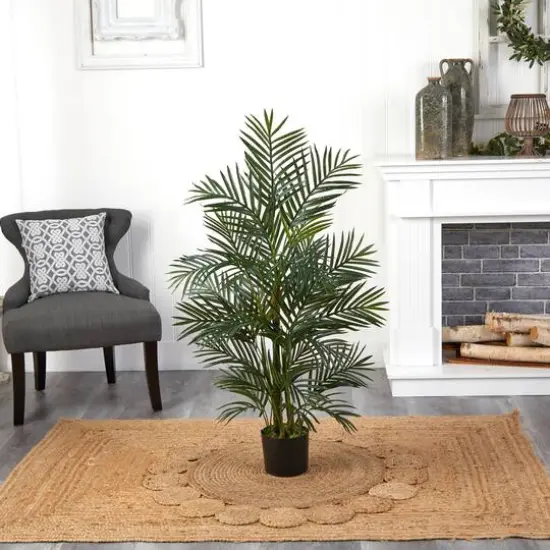 3.5ft. Potted Areca Palm {7}