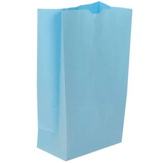 JAM Paper Baby Blue Medium Kraft Lunch Bags, 500ct. {1}