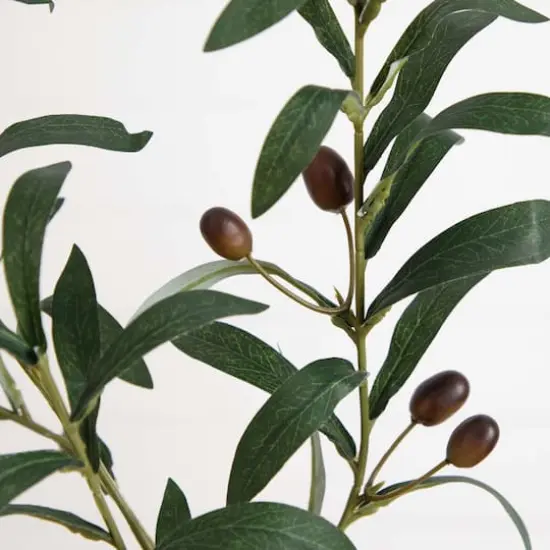 28" Olive Branch Stems, 3ct. {6}