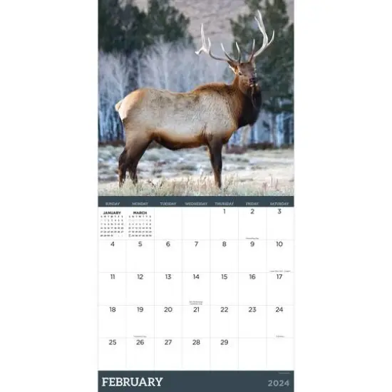 TF Publishing 2024 Deer Wall Calendar {4}