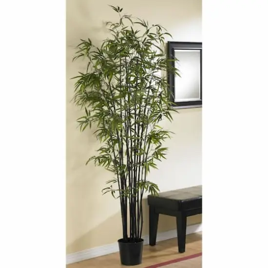 6.5ft. Potted Black Bamboo Silk Tree  {3}