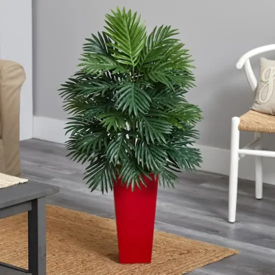 3.3ft. Areca Palm Plant in Red Planter {3}