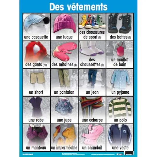 Poster Pals&reg; French Essential Classroom Posters, 7ct. {7}