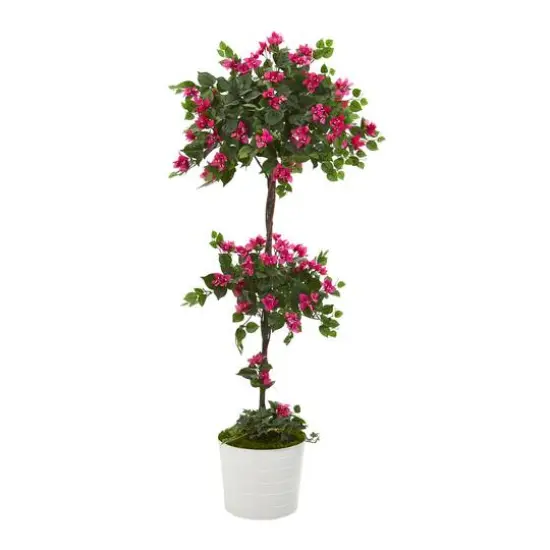 5ft. Bougainvillea Topiary Tree in White Tin Planter {1}